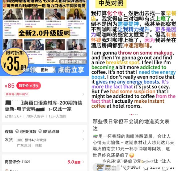 虛擬資料項目解析：自動化資料銷售，揭示52w收益的秘密!-免費分享論壇-孫裔蒙