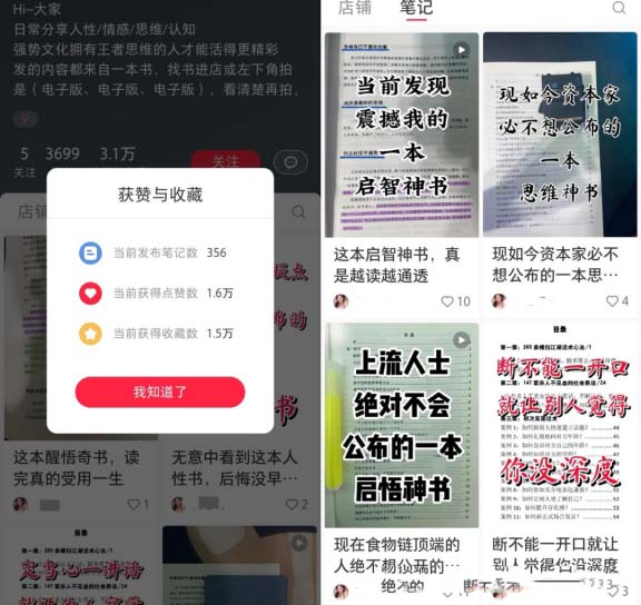 小眾虛擬內(nèi)容，粉絲3700實(shí)現(xiàn)收益超過(guò)10W+!（虛擬資料項(xiàng)目拆解）-孫裔蒙