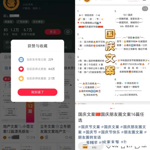 圖片[2]-朋友圈文案模板，高單價收入達到4.8萬以上!虛擬資料副業賺錢項目拆解-免費分享論壇-孫裔蒙