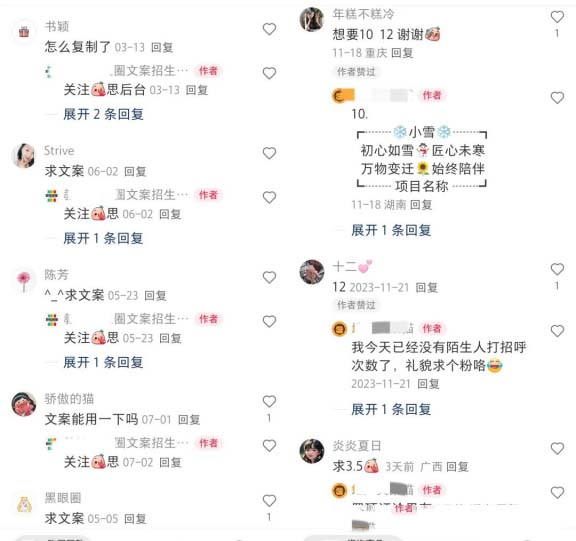 圖片[4]-朋友圈文案模板，高單價收入達到4.8萬以上!虛擬資料副業賺錢項目拆解-免費分享論壇-孫裔蒙