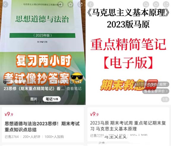 這個資料真厲害，1w粉絲收益10w+!虛擬資料副業項目拆解-免費分享論壇-孫裔蒙